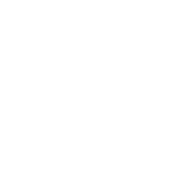 icon-custom_reports-175x175